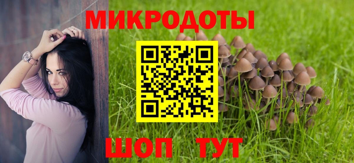 Галлюциногенные грибы Psilocybe  Вход с VPN  Новороссийск  Псилоцибиновые грибы ЛСД 