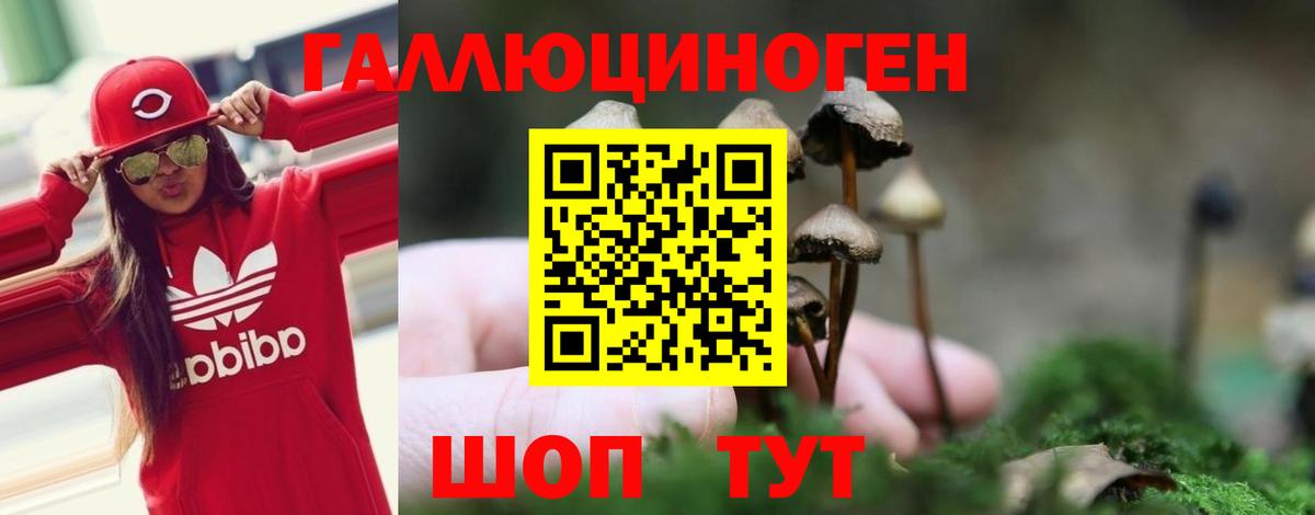 Псилоцибиновые грибы ЛСД Новороссийск
